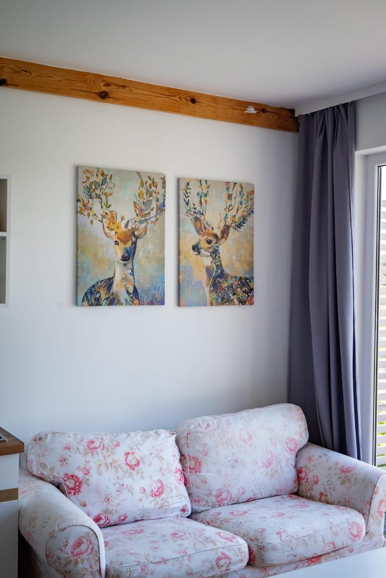 Zurawia Polana Villa Swietajno  Exteriör bild